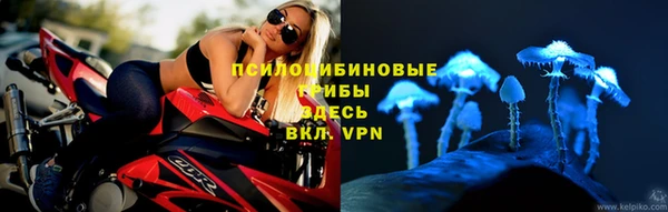 ПСИЛОЦИБИНОВЫЕ ГРИБЫ Алзамай