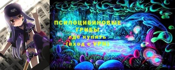 крисы Абаза