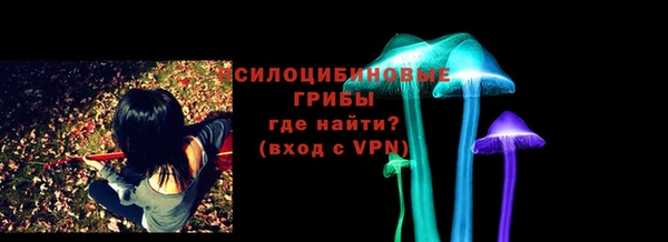 крисы Абаза