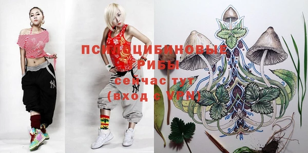 ПСИЛОЦИБИНОВЫЕ ГРИБЫ Алзамай