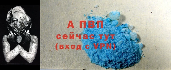крисы Абаза