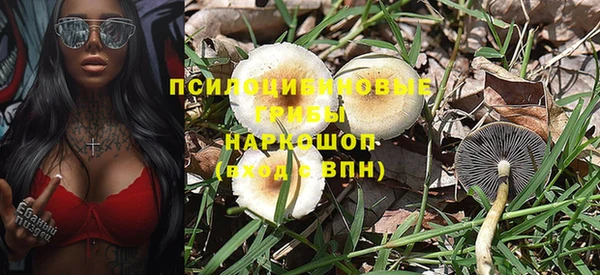 каннабис Алексеевка