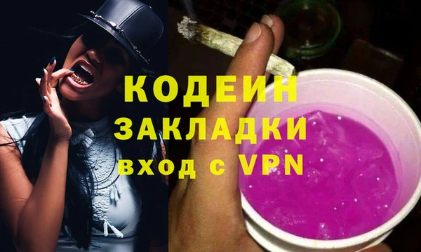 крисы Абаза