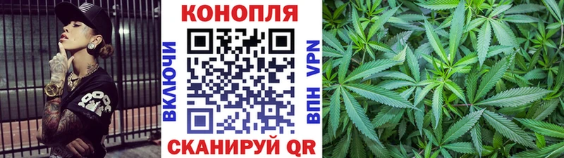 магазин продажи наркотиков  Новоалтайск  Шишки марихуана семена 